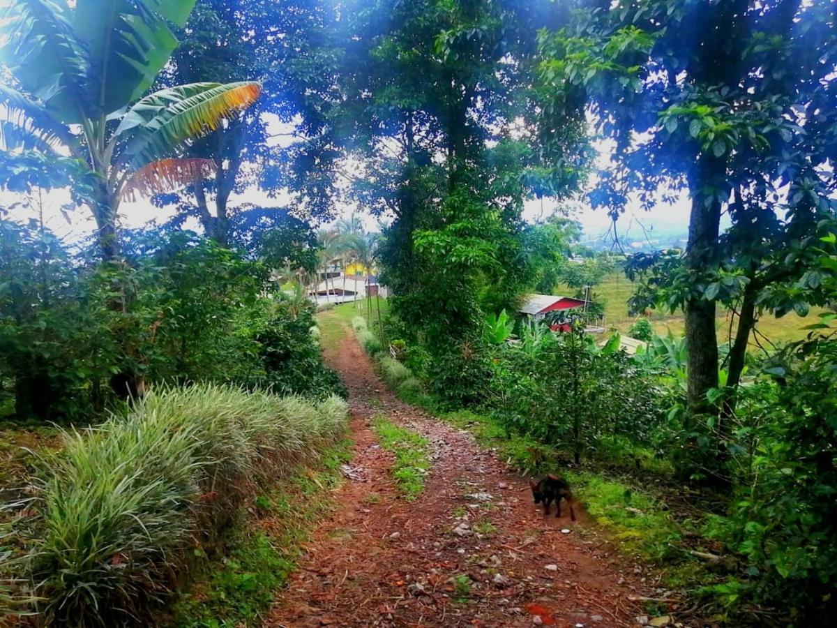 نزل Calarcáفي Finca Turistica Santa Clara المظهر الخارجي الصورة