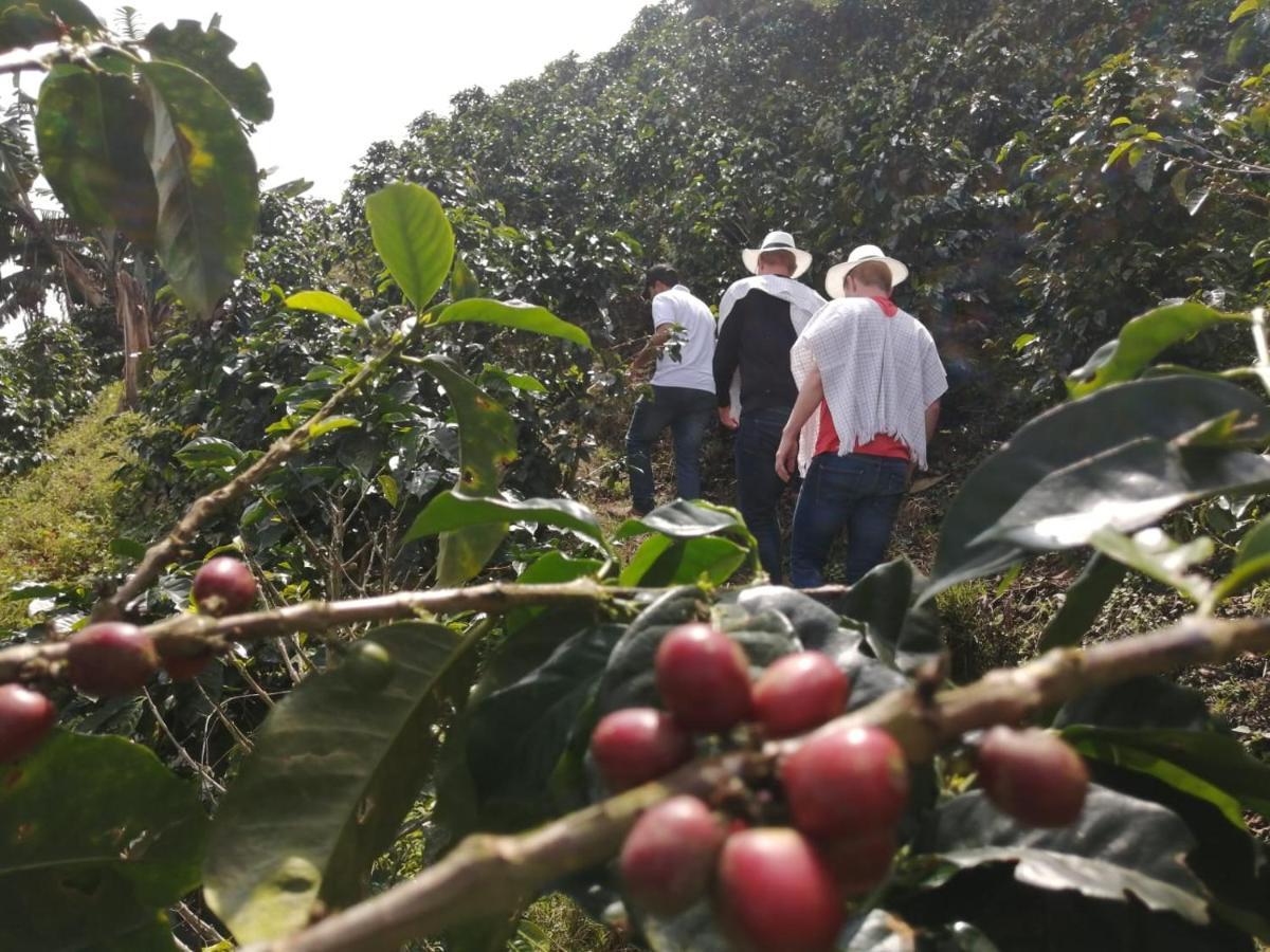 نزل Calarcáفي Finca Turistica Santa Clara المظهر الخارجي الصورة
